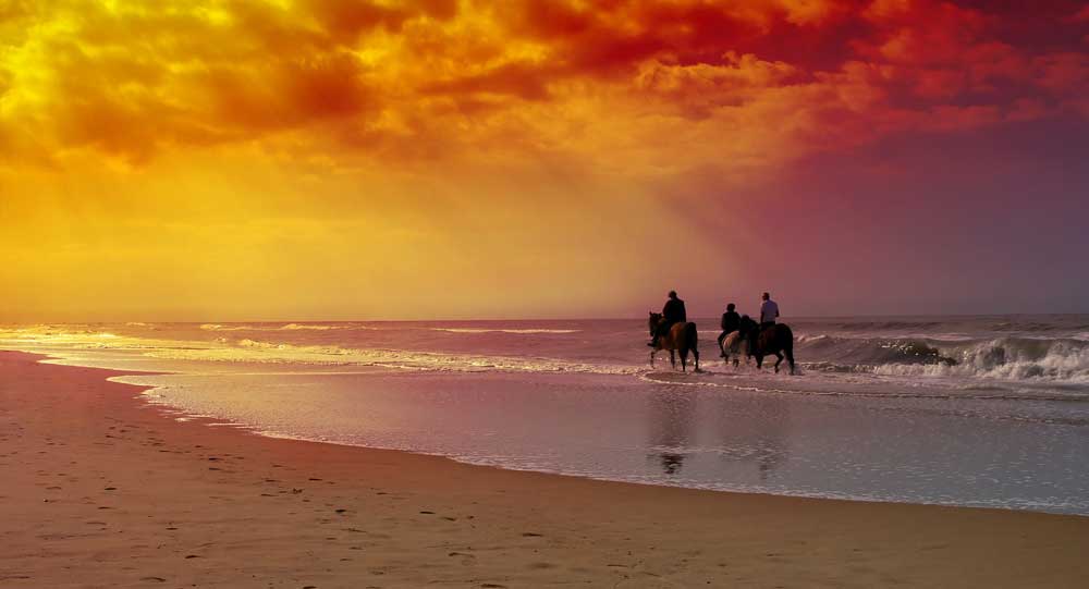 horseback rides rincon pr