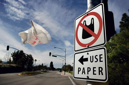 bag ban rincon puerto rico