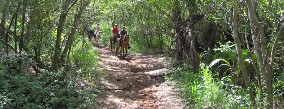 san juan horseback riding