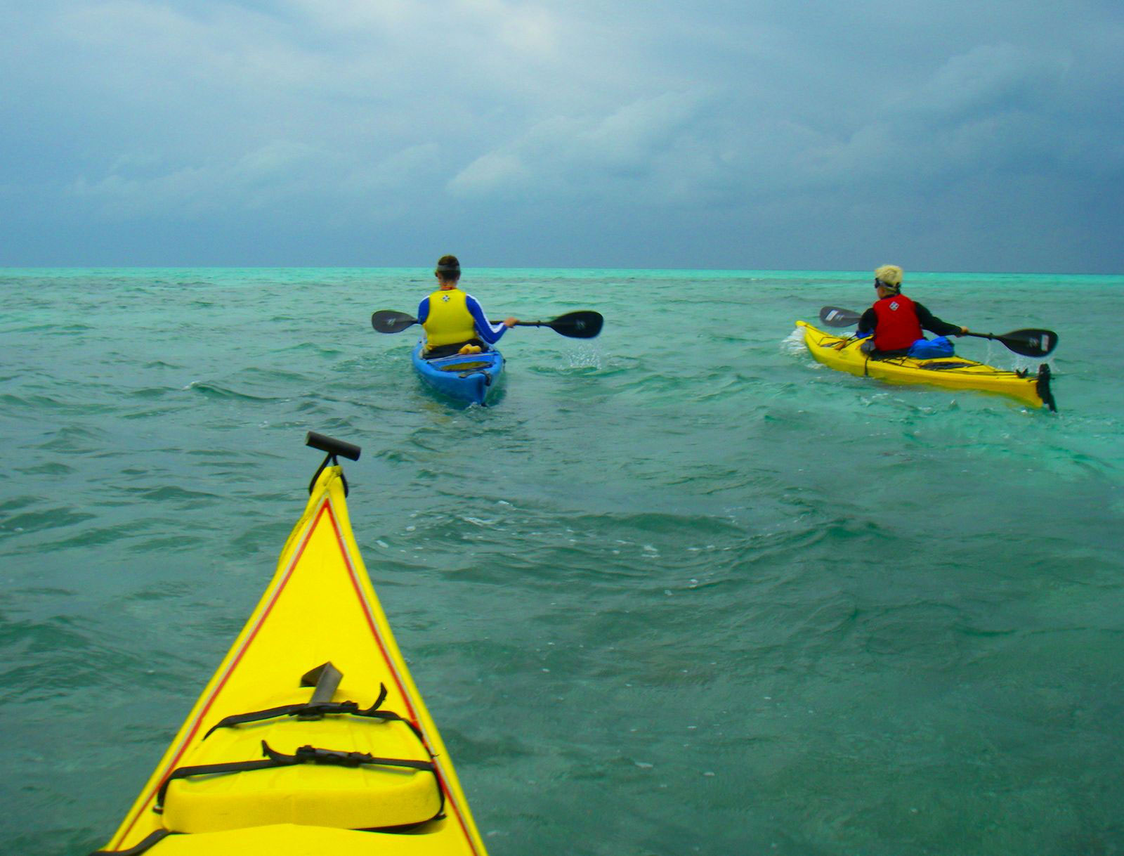 kayak and snorkel tour