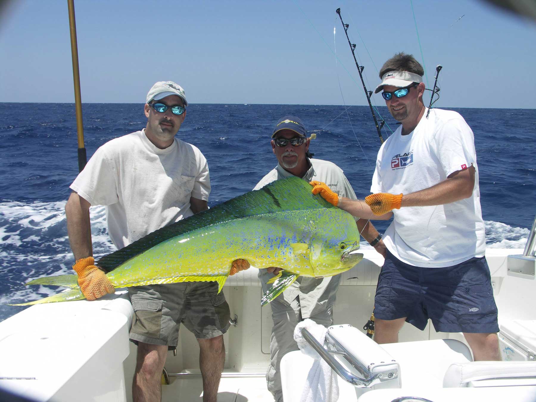 Deep Sea Fishing Charters Rincon Puerto Rico Vacations