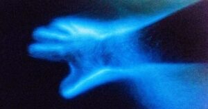bioluminescent bay parguera tours